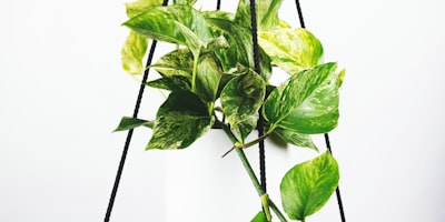 足球战术板上绘制的各种阵型示意图